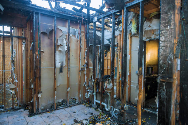 Professional Fire Damage Assessment technician working in Stanchfield, MN