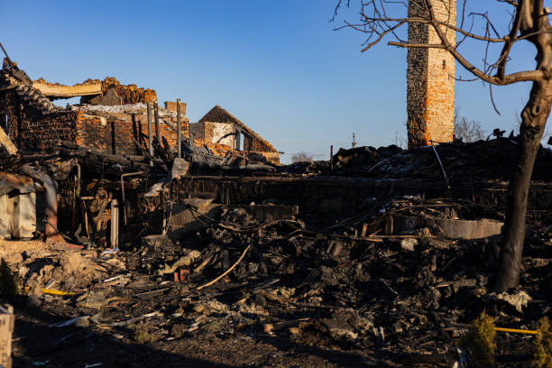 Reliable Fire Damage Assessment contractor in Stanchfield, MN by Fire Damage Doption