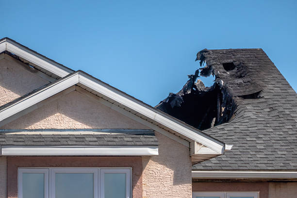 Top rated local Fire Damage Assessment specialists in Stanchfield, MN